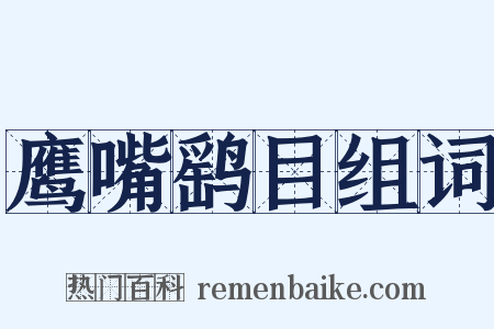 鹰嘴鹞目组词是什么意思的图片